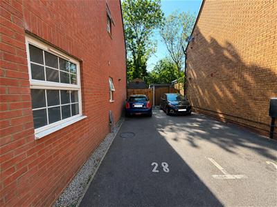 Picture 25